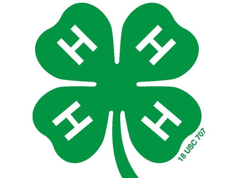 Logo for 2026 Christian County Fair