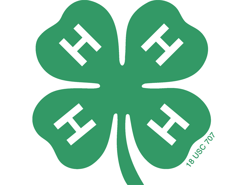 Logo for 2026 District 1 Horse Shows